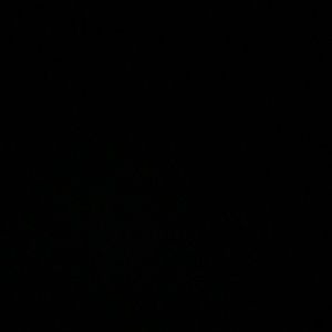 Meet your Posher, Siewling